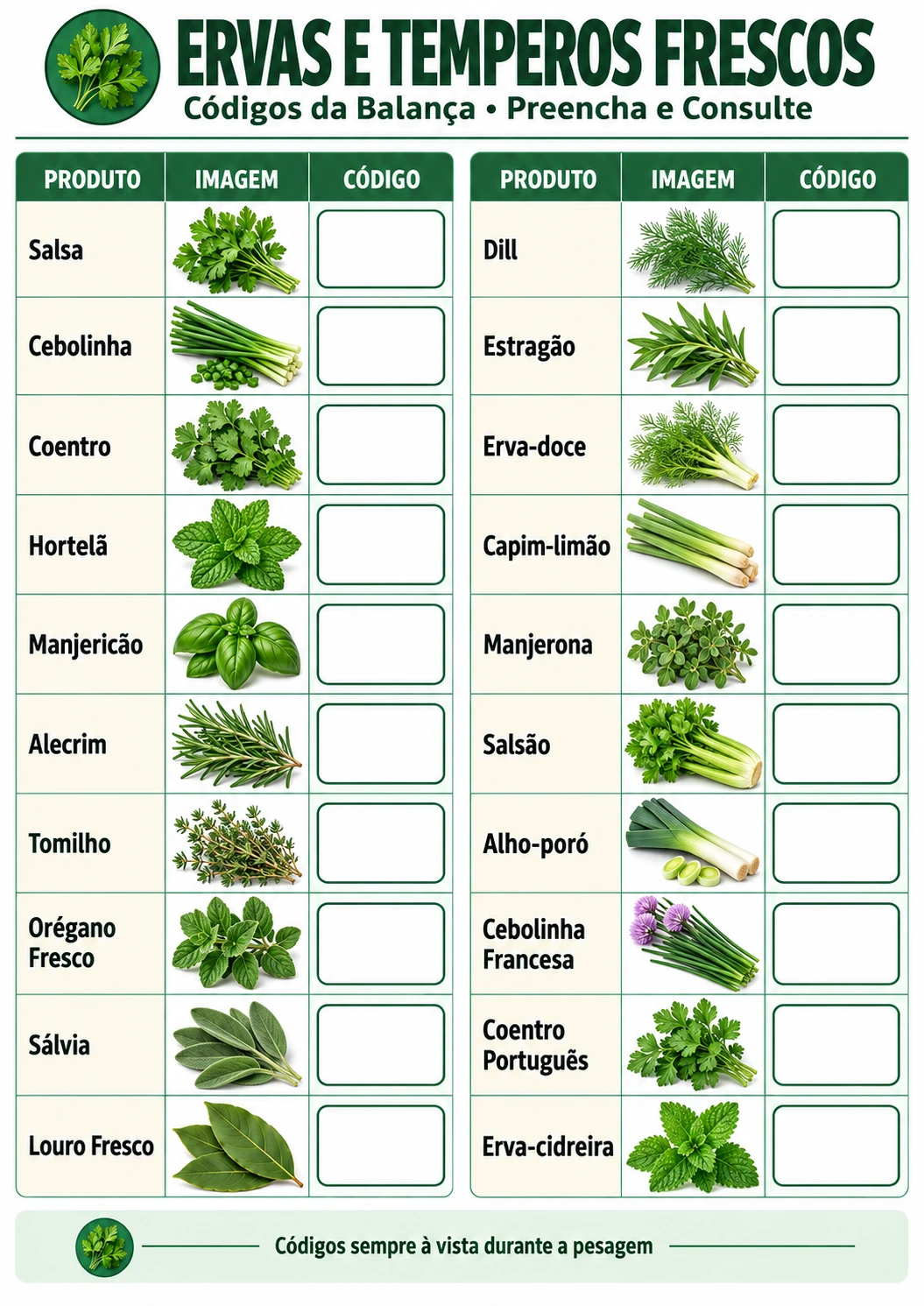 Prévia 7